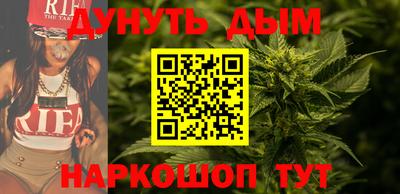 эйфоретик Малгобек