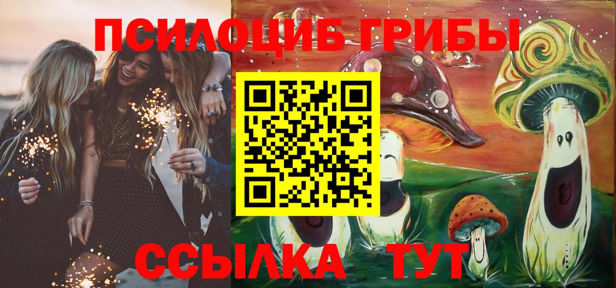 Донской  Псилоцибиновые грибы прущие грибы  Вход с VPN 