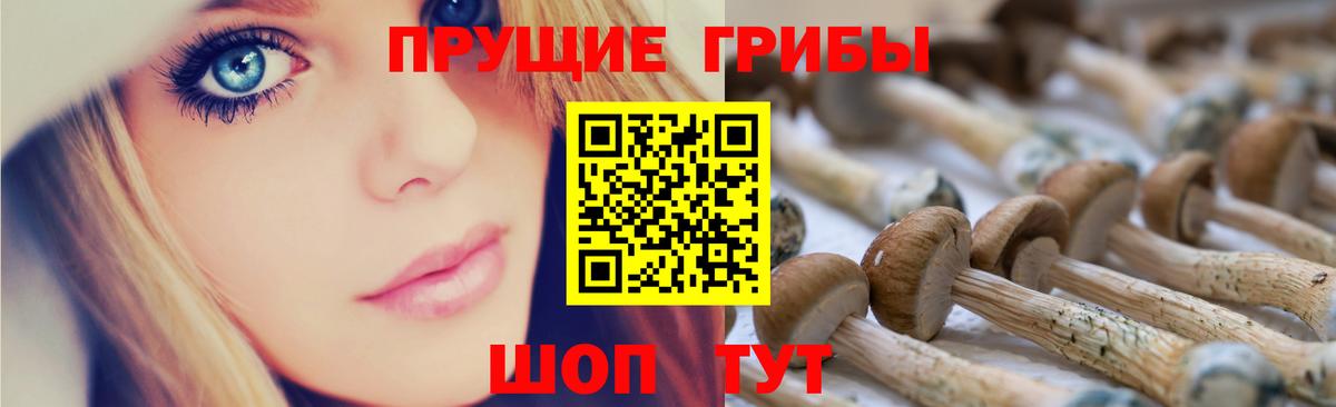 Псилоцибиновые грибы прущие грибы Донской